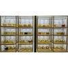 3ML PICK YOUR FRAGRANCE