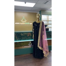 NET DUPATTA W MIRROR L BORDER