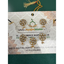 PAKISTANI CHOKER SET