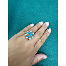 PAKISTANI RING