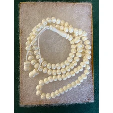 CAMEL BONE/TEETH TASBEEH