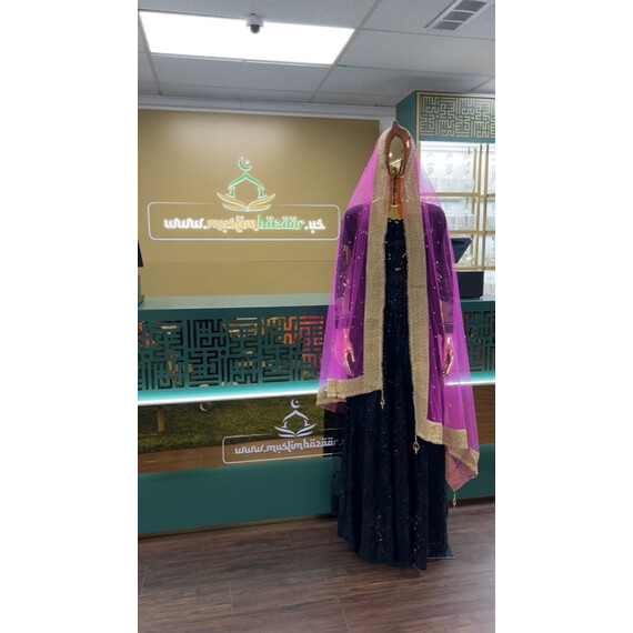 NET DUPATTA W MIRROR L BORDER