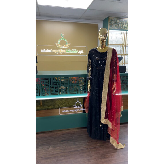 NET DUPATTA W MIRROR L BORDER