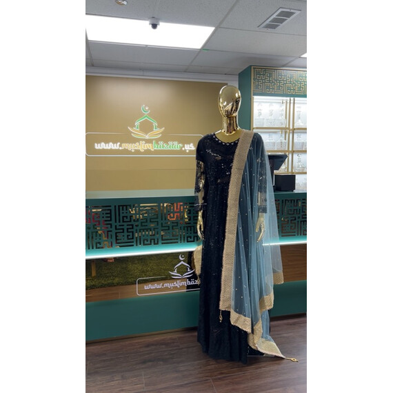 NET DUPATTA W MIRROR L BORDER