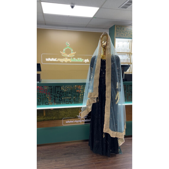 NET DUPATTA W MIRROR L BORDER