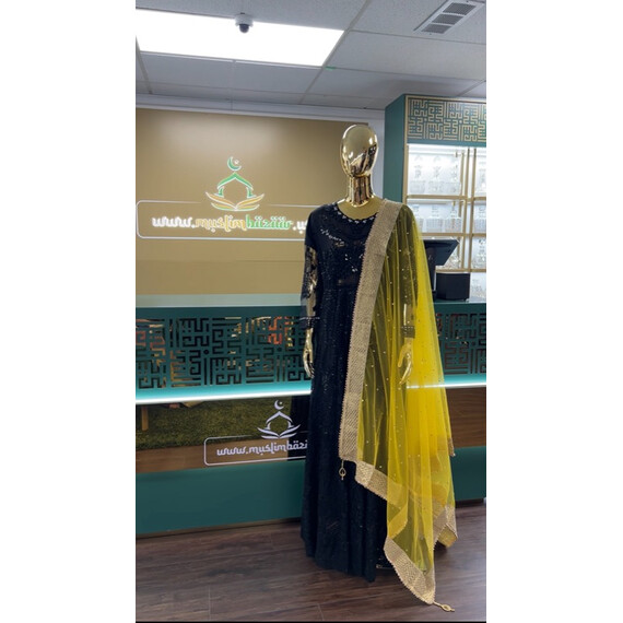 NET DUPATTA W MIRROR L BORDER
