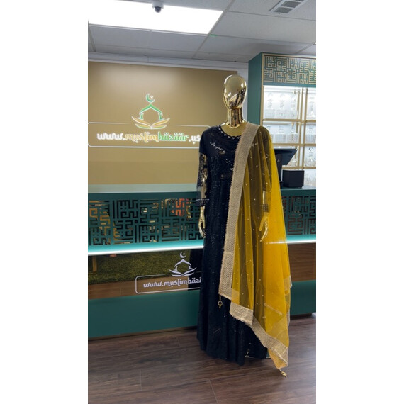 NET DUPATTA W MIRROR L BORDER