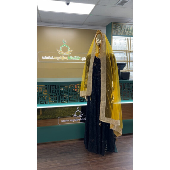 NET DUPATTA W MIRROR L BORDER