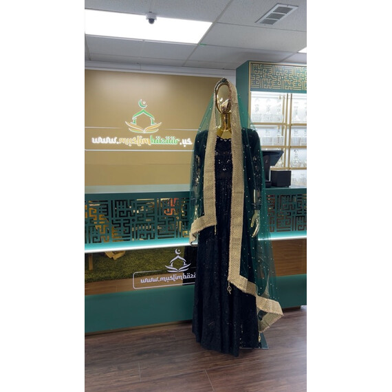 NET DUPATTA W MIRROR L BORDER