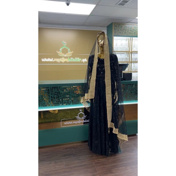 NET DUPATTA W MIRROR L BORDER