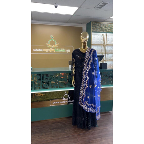 DUPATTA GOTA NET