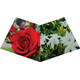 BURHAN GIFT SET