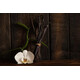 THALJEE BODY LOTION