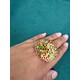 PAKISTANI RING