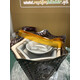 ELECTRICAL BAKHOOR BURNER